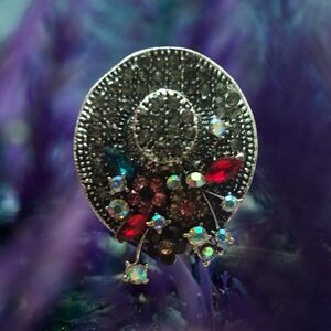 Elegant Silver and Red Crystal Brooch